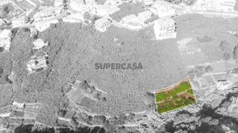 Terreno Estreito de Câmara de Lobos
