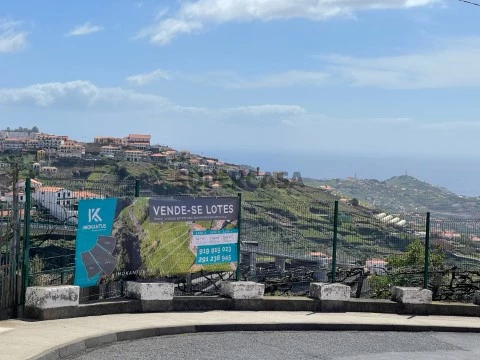 Lote Estreito de Câmara de Lobos