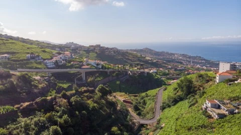 Lote Estreito de Câmara de Lobos