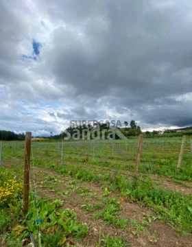 Terreno em Moreira, Monção