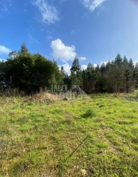 Terreno em Gandra e Taião, Valença