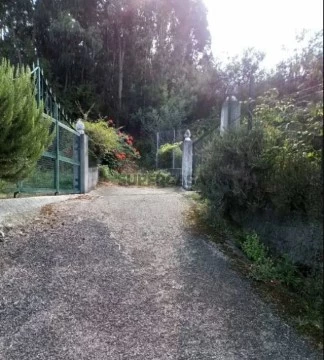 Terreno em Cedrim, Sever do Vouga