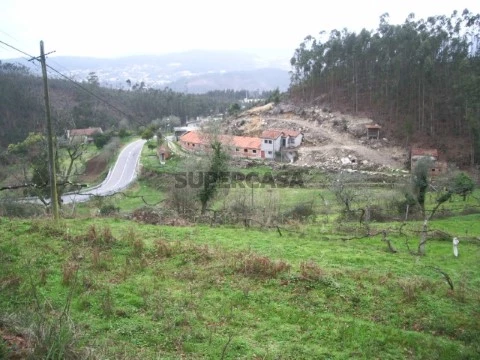 Quinta em Cedrim, Sever do Vouga