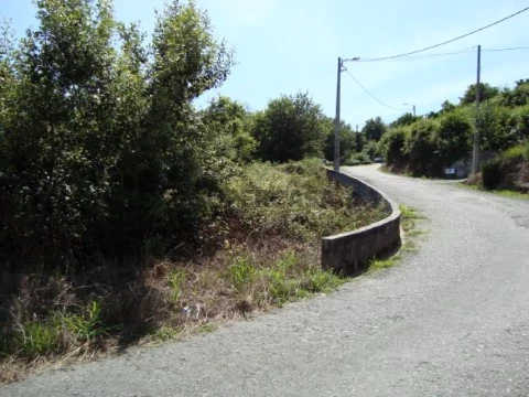 Terreno em Pessegueiro do Vouga, Sever do Vouga