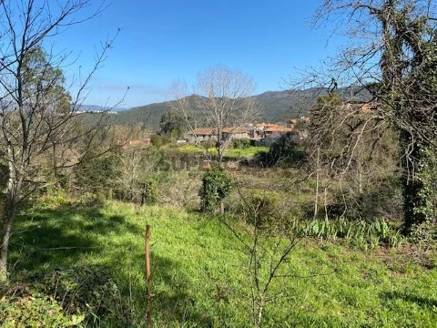 Quintinha em Cedrim, Sever do Vouga