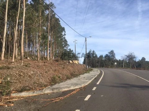 Terreno em Talhadas, Sever do Vouga