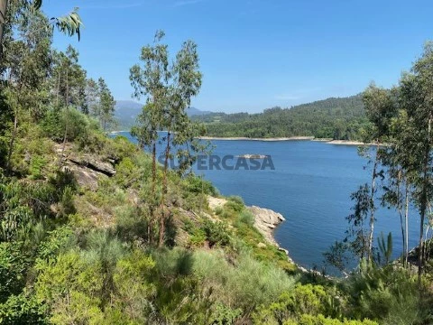 Terreno em Couto de Esteves, Sever do Vouga