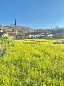 Terreno em Cedrim, Sever do Vouga