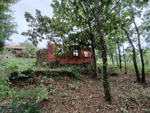 Quintinha em Silva Escura, Sever do Vouga