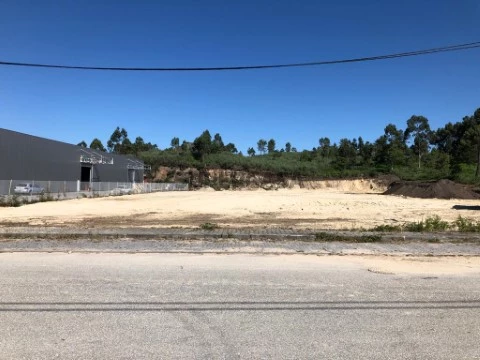 Terreno em Junqueira, Vale de Cambra