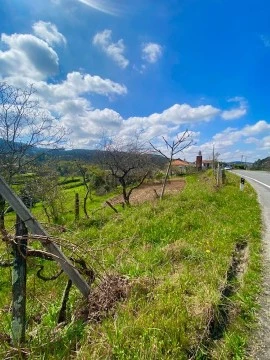 土地/规划 在 Cedrim, Sever do Vouga