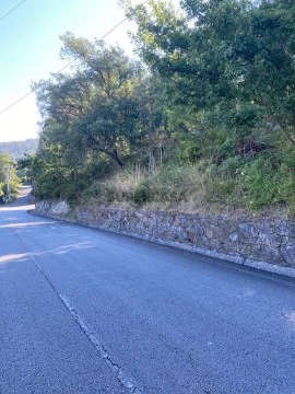 Terreno em Cedrim, Sever do Vouga