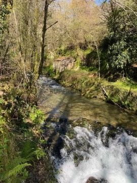 Terreno em Couto de Esteves, Sever do Vouga