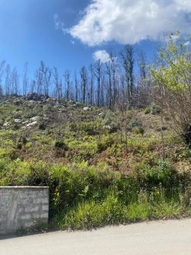 Terreno em Pessegueiro do Vouga, Sever do Vouga