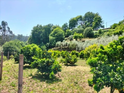Terreno em Couto de Esteves, Sever do Vouga