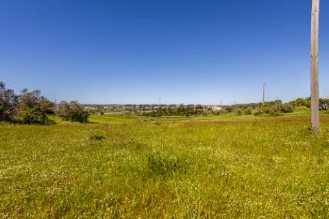 Terreno1_1