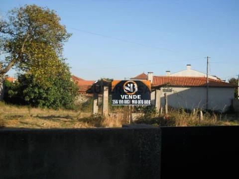 Terreno Murtosa