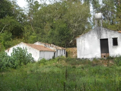 Quinta