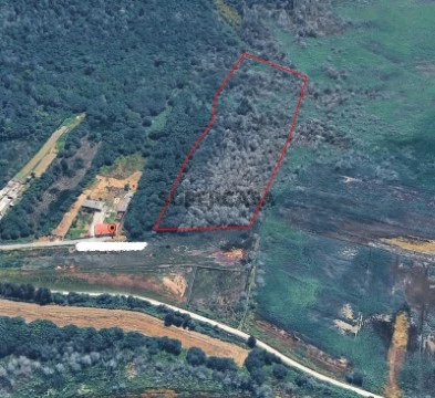 Terreno Rustico Ovar