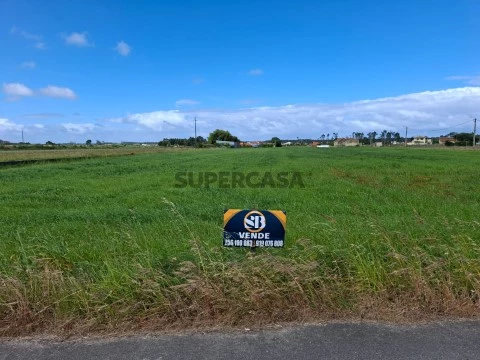 Terreno Marinha
