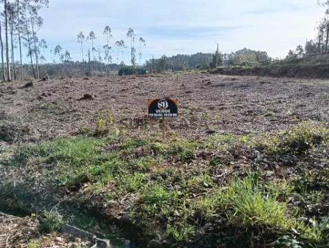 terreno Pedro Terra SVicente 1