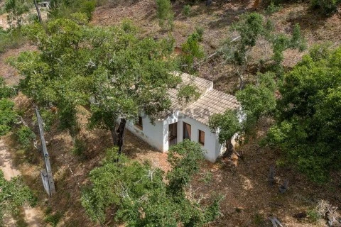 land