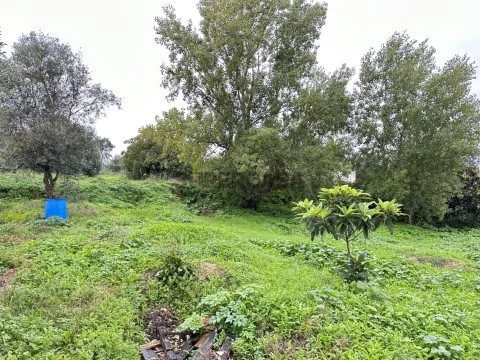 Terreno em Cidade de Santarém, Santarém