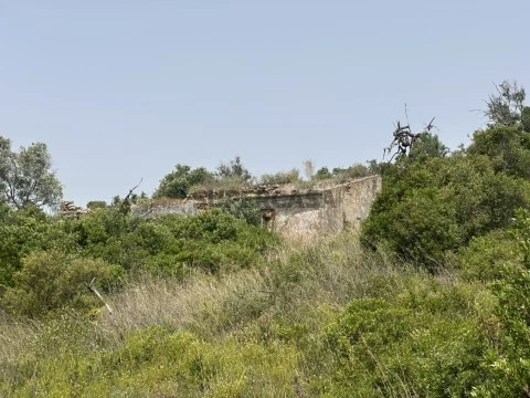 Terreno em Caminho do Ribeiro do Colmeal, Santa Bárbara de Nexe, Faro
