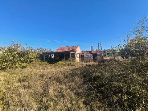 Moradia com terreno (3980 m2 com poço) no Entroncamento