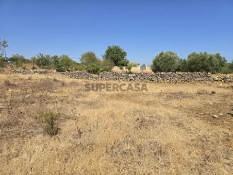 Terreno-Falfosa-Santa_Barbara_de_Nexe-Faro-GoldenProperties