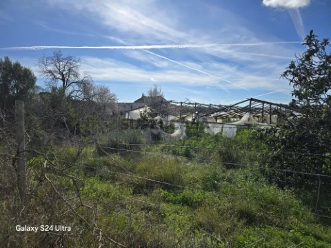 Terreno- Faro-Sitio _do _Besouro-GoldenProperties