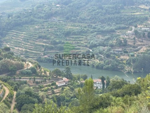 Vistas