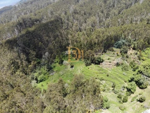 Terreno em Imaculado Coração Maria, Funchal