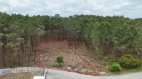 AREA MARCADA
