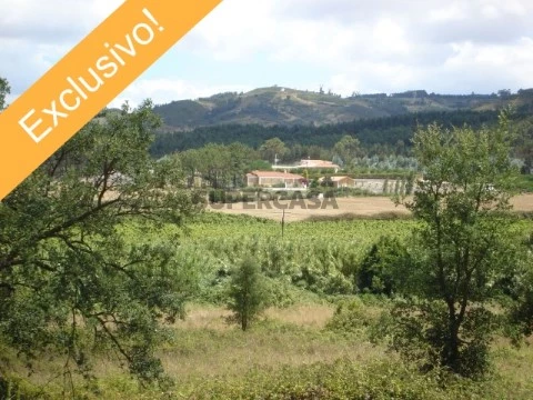 Quinta - exclusivo