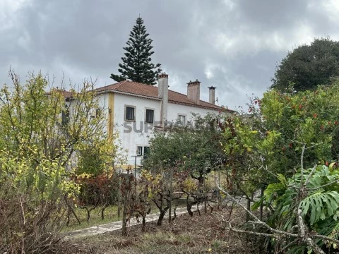 Vista - image00009