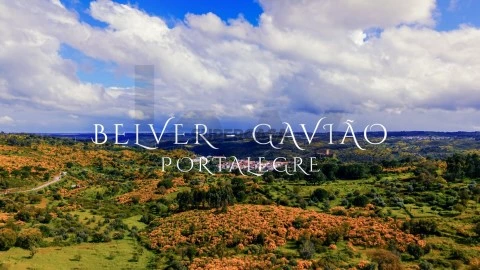 Terreno em Belver, Gavião