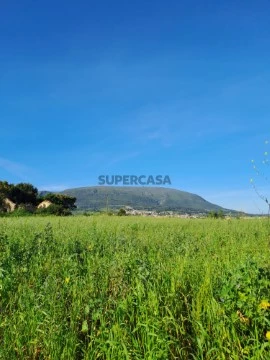 Terreno em Ventosa, Alenquer