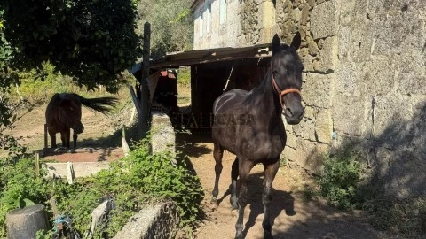 Quinta T4 em Lordelo, Vila Real