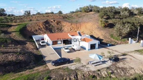 Quinta de Produção de Azeite em Messines
