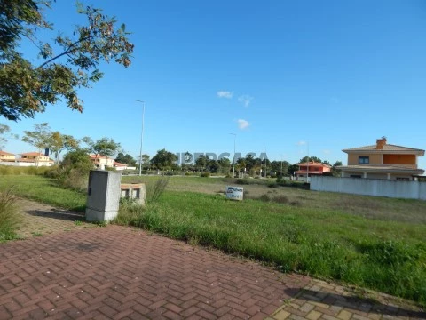 DSCN1088
