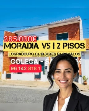 WhatsApp Image 2025-12-26 at 14.16.20