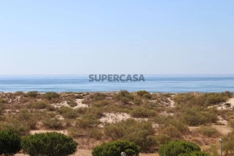 Vista