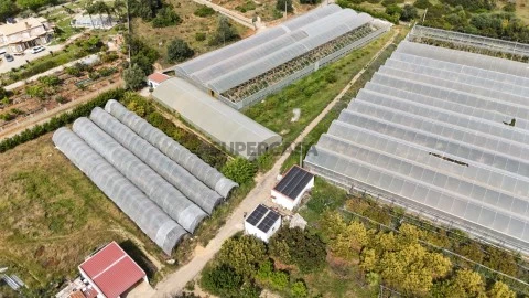 Quinta agrícola com estufas