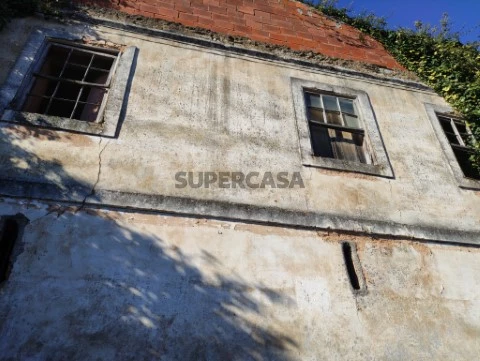 Quinta agrícola com moradia para venda a 5 minutos de Albergaria - a -Velha