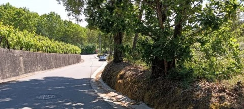 Terreno para construção - Requeixo