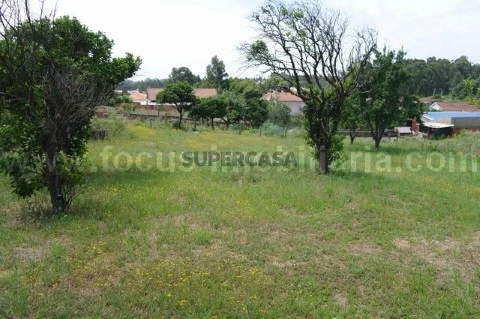 Quinta com casa antiga Azurva