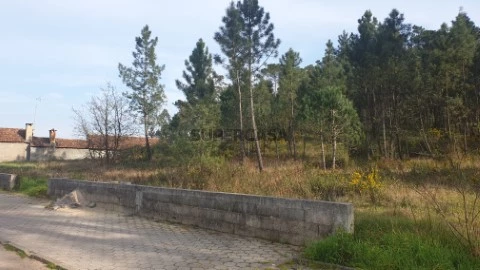 Espaçoso terreno para venda a 3 Km do centro de Oliveira do Bairro