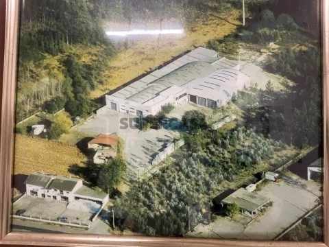 Propriedade Industrial / Pavilhão industrial - Anadia