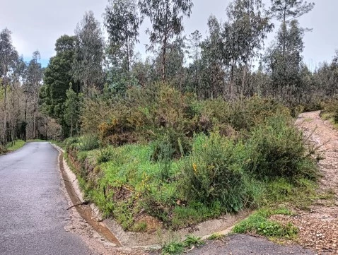 Terreno - Rota dos Moinhos - Angeja